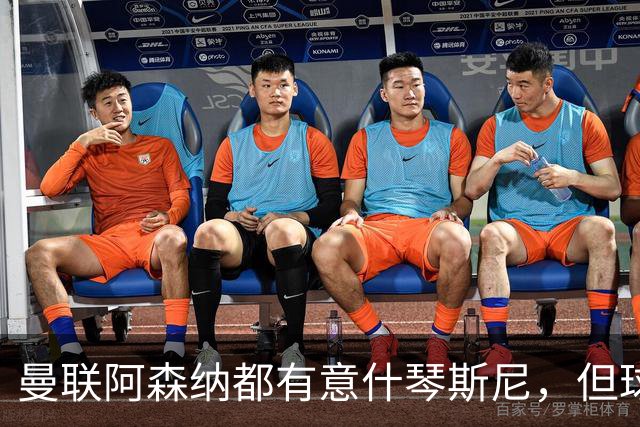 曼联阿森纳都有意什琴斯尼，但球员最终决定退役